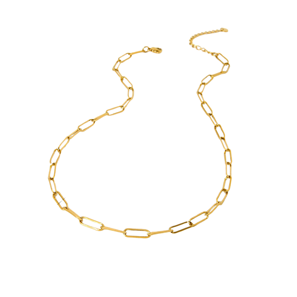 Caroline Gold Tone Chain Necklace