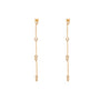Eden Gold Tone Zircon Drop Earrings